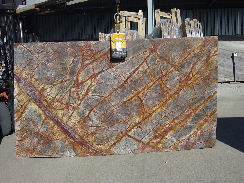 Rainforest Brown