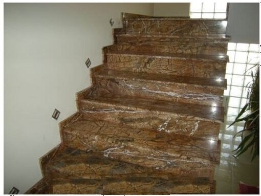 Rainforest Brown
